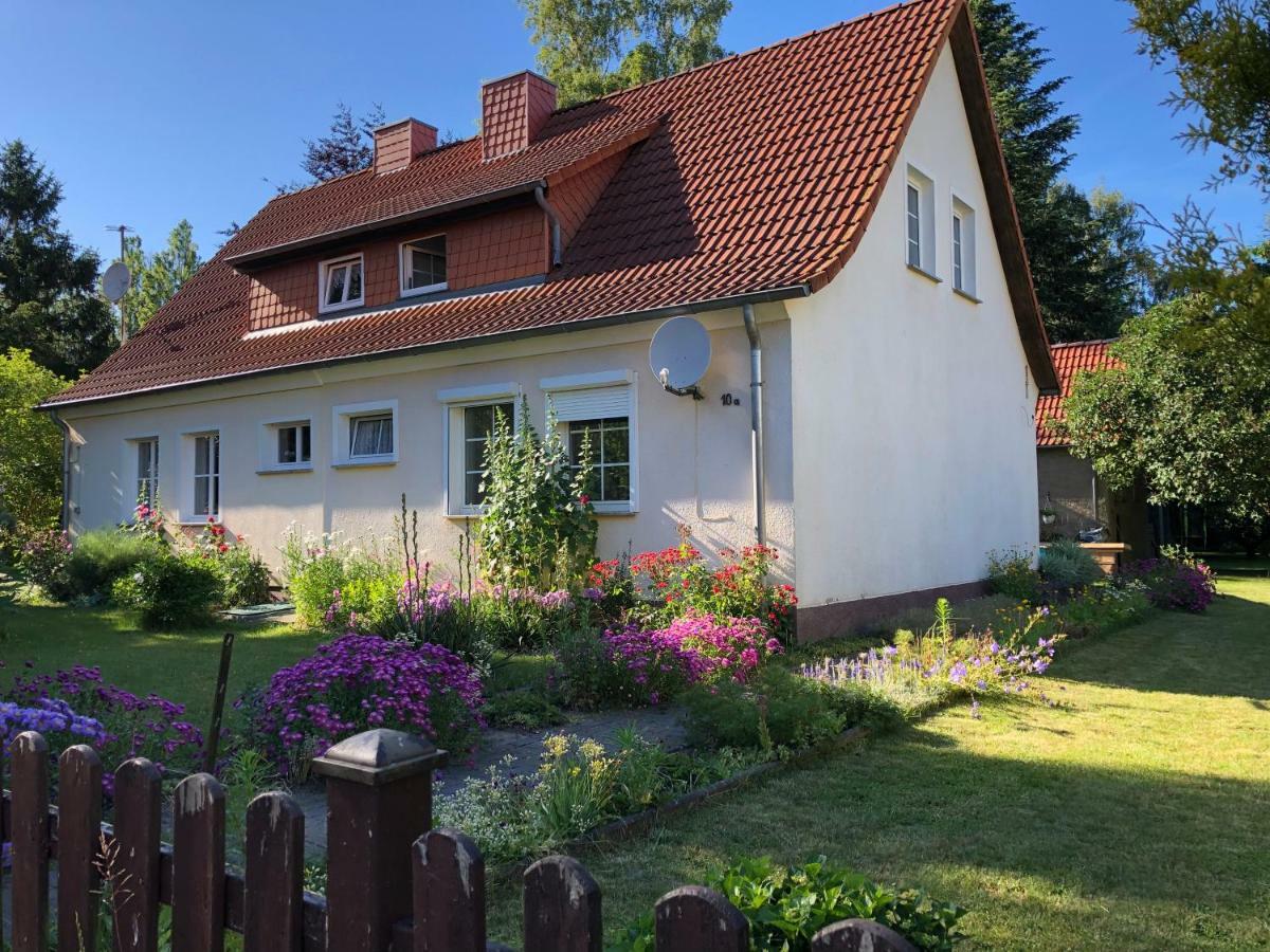 Sommerhaus Boldevitz auf Rügen Exterior foto